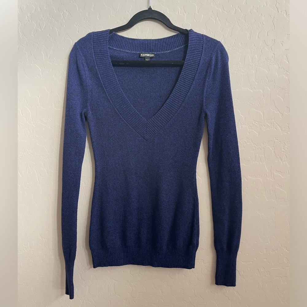 Express, long sleeve sweater, V-neck in size small